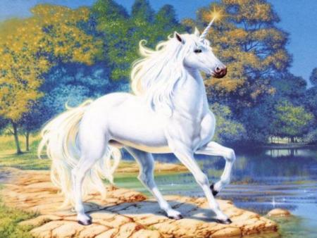 licorne